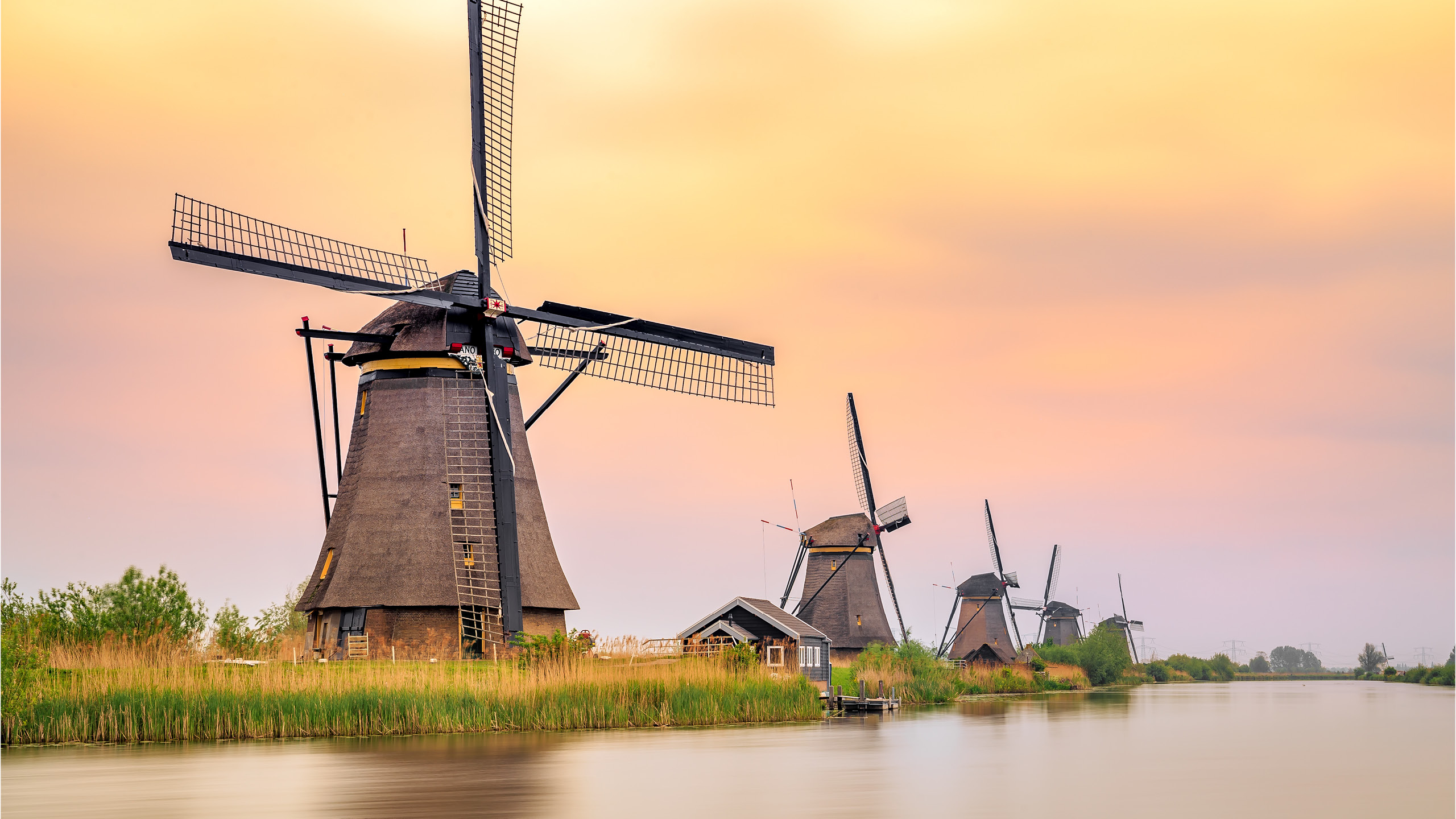 un groupe de moulins à vent au bord de l’eau