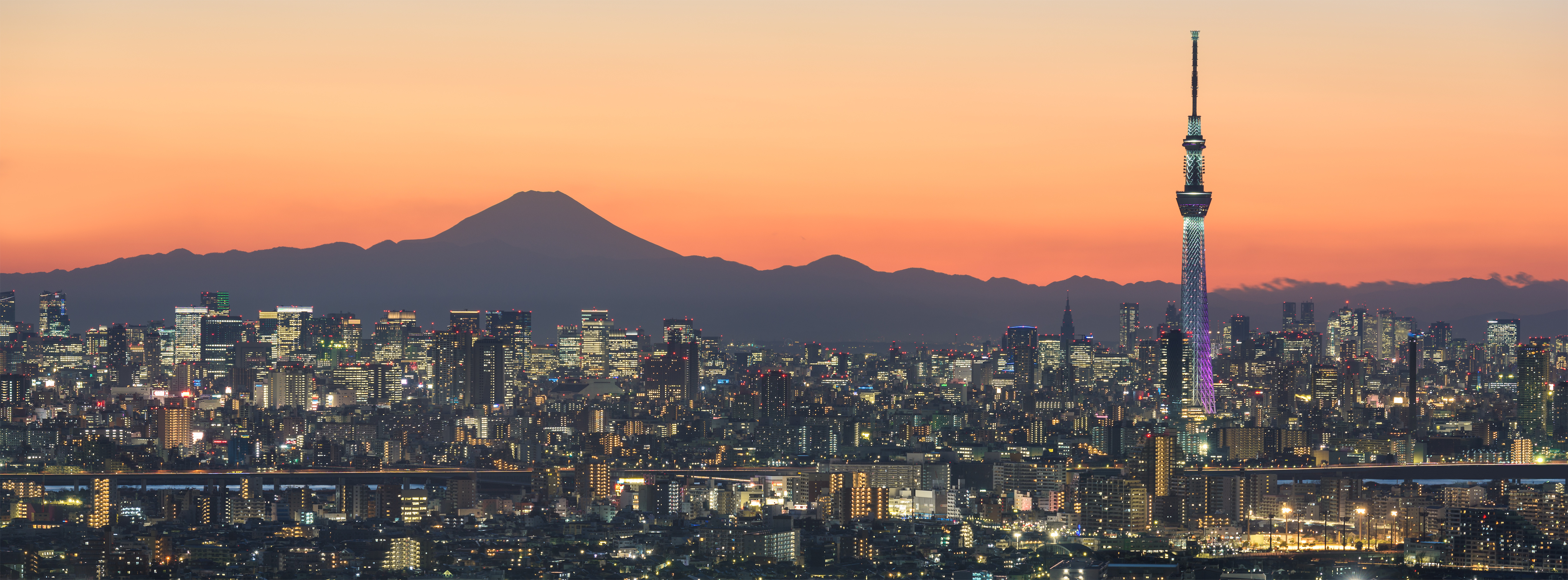Una ciudad con una montaña al fondo