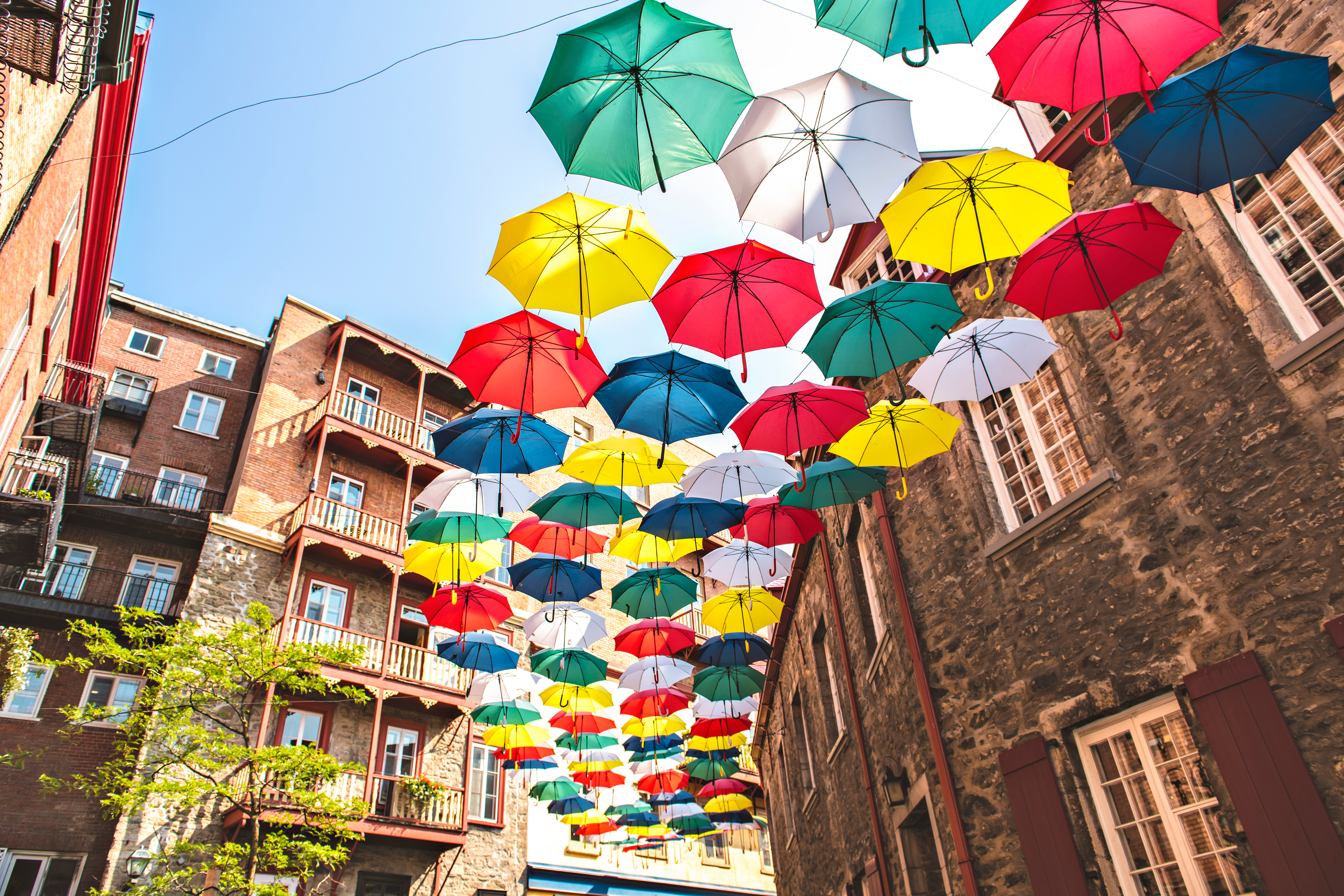 Adobestock 281261393