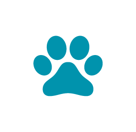Pet Insurance Icon