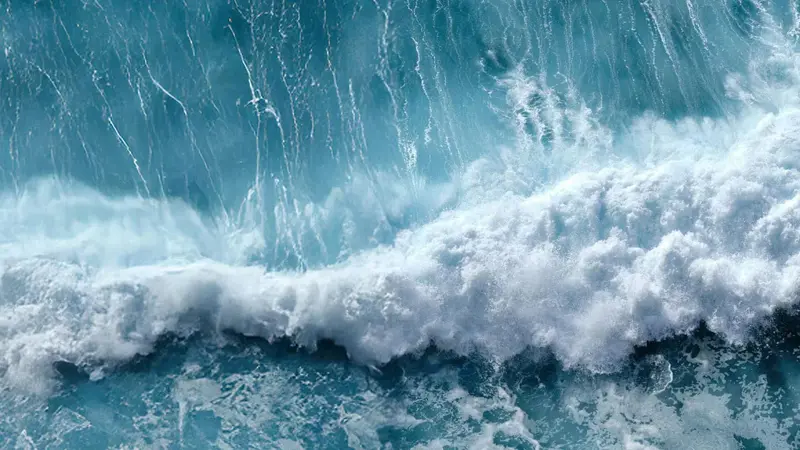 Tide Is Turning Article