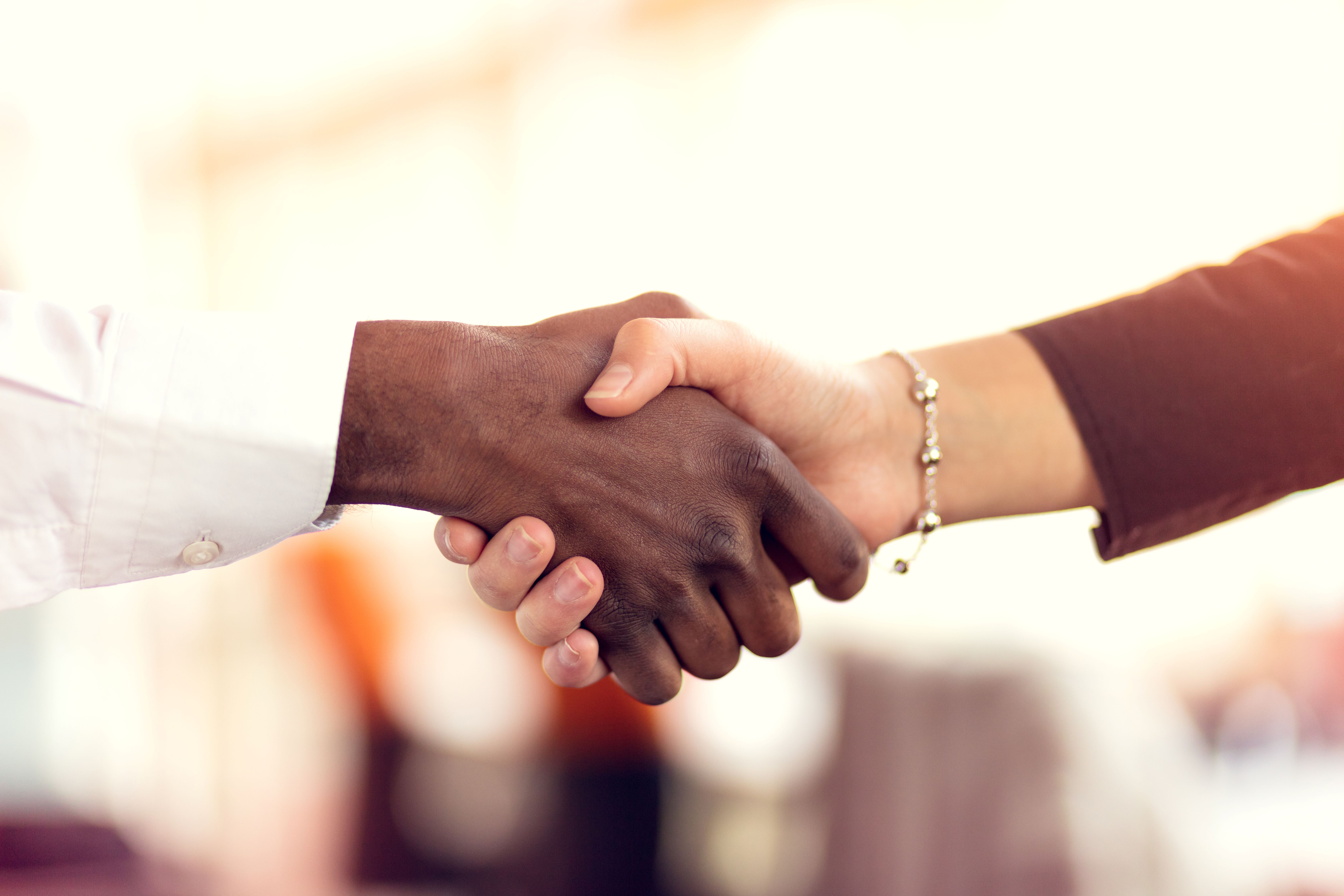 a close-up of a handshake
