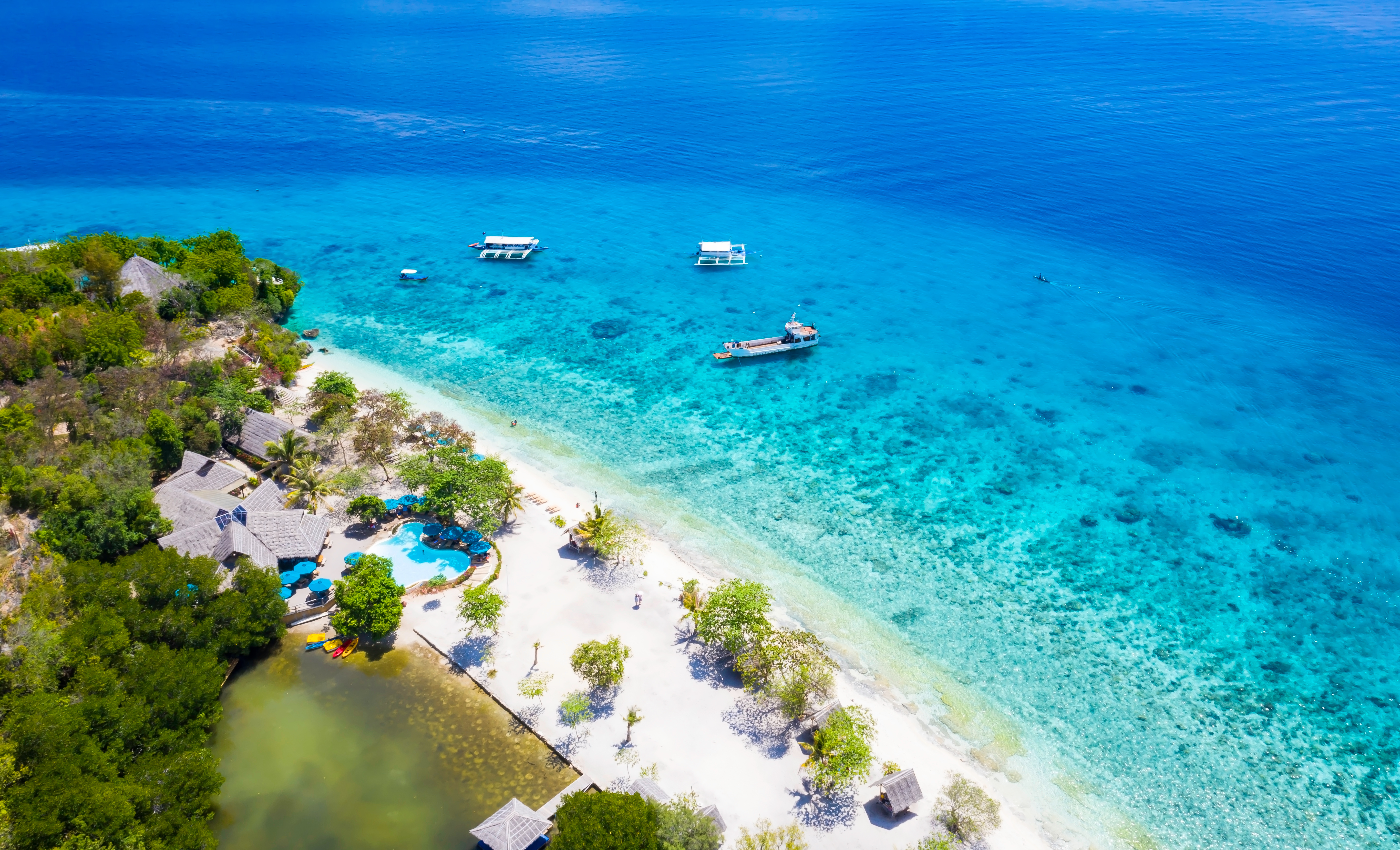 a beach with boats and trees