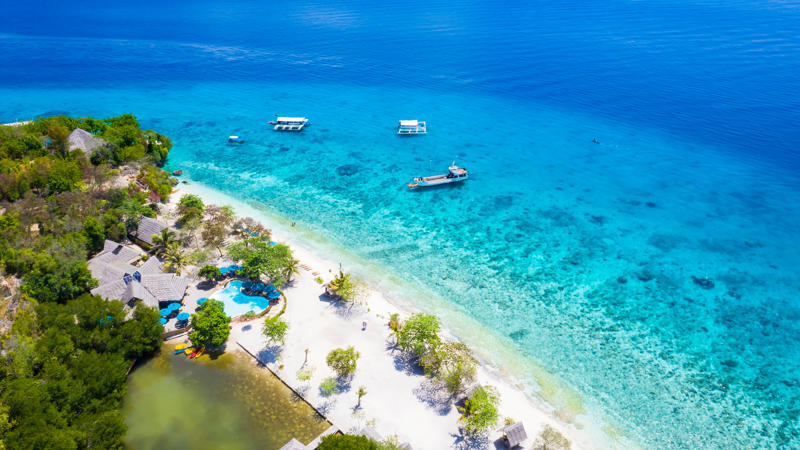 a beach with boats and trees