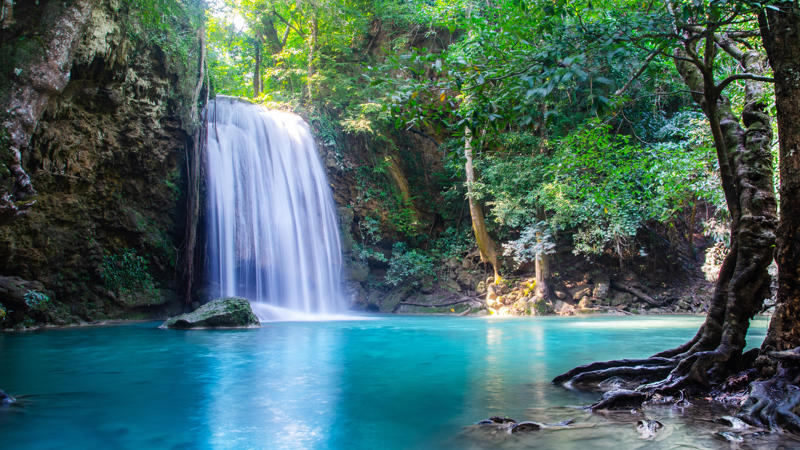 Nature 4